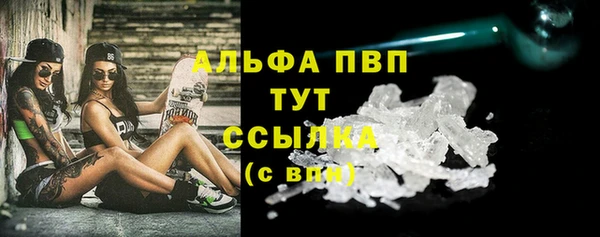 стаф Инта