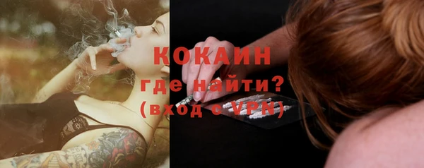 стаф Инта