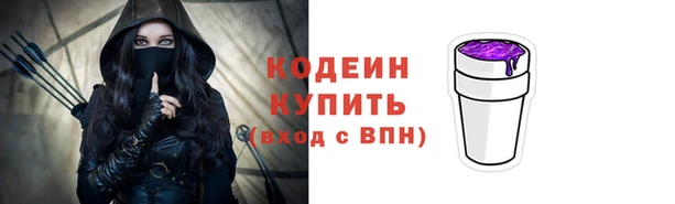 стаф Инта