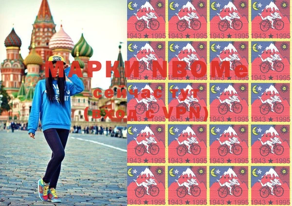 стаф Инта