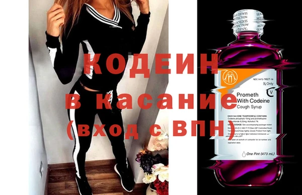 стаф Инта