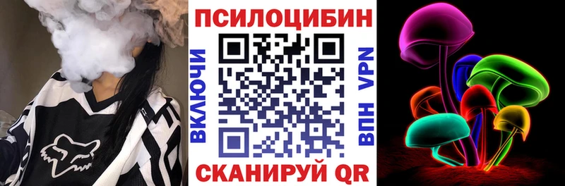 Купить закладки  Большой Камень  Псилоцибиновые грибы Magic Shrooms 